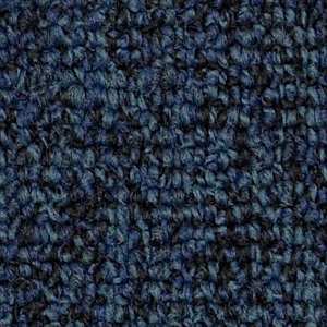 Multiplicity Tile